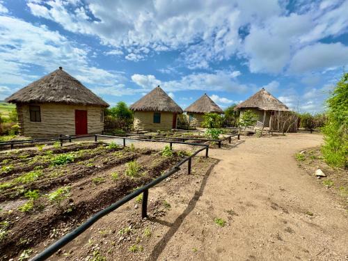 Arusha Region Apartment | Maasai Eco Boma & Lodge - Experience Maasai Culture