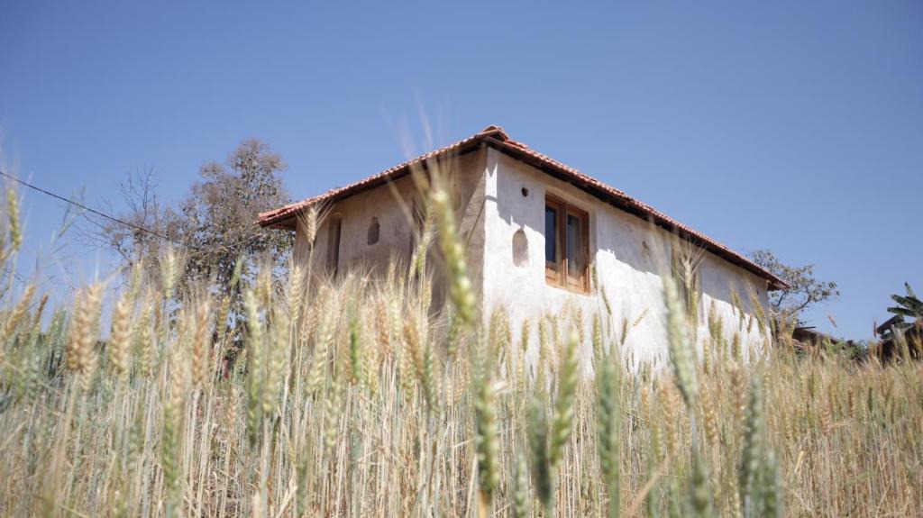 Sohagpur House | Maathrila The Satpura Homestay