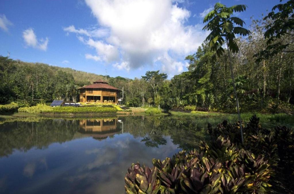 Carara Cabin | Macaw Lodge