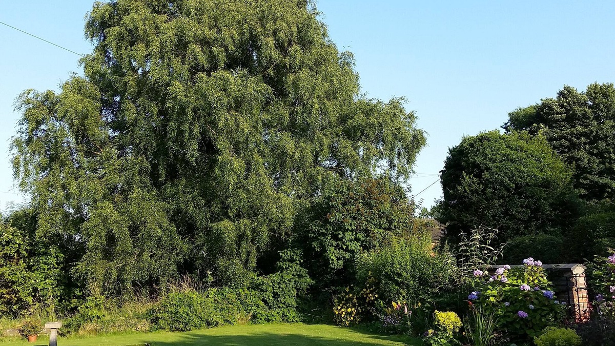 Mackworth House | Mackworth House Farm