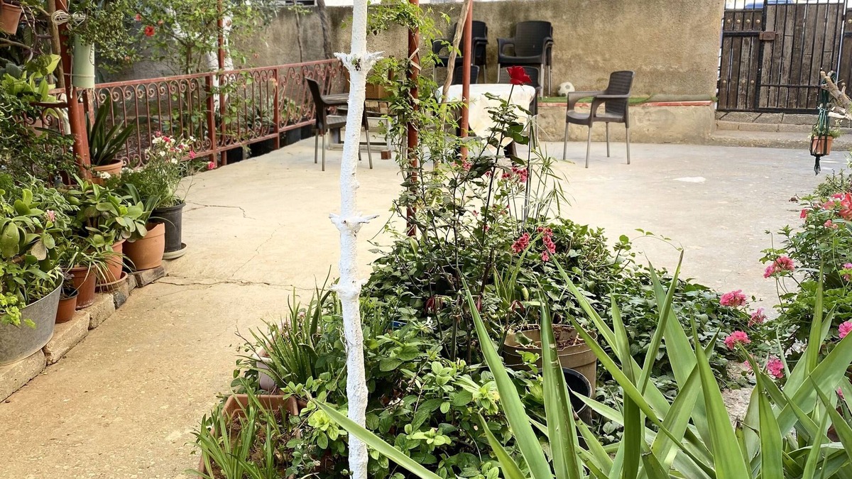 Madaba Apartment | Madaba