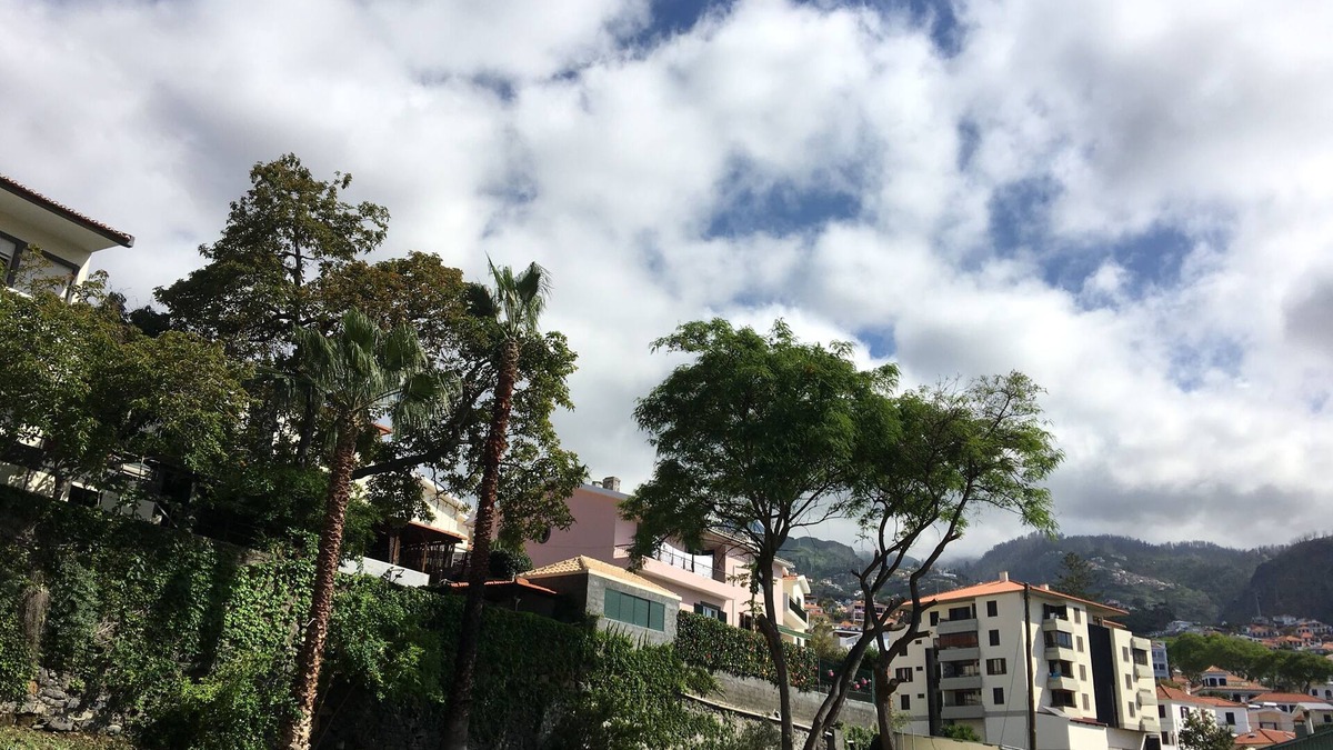 Sao Pedro Apartment | Madeira 4 You, apartment, downtown, Free parking