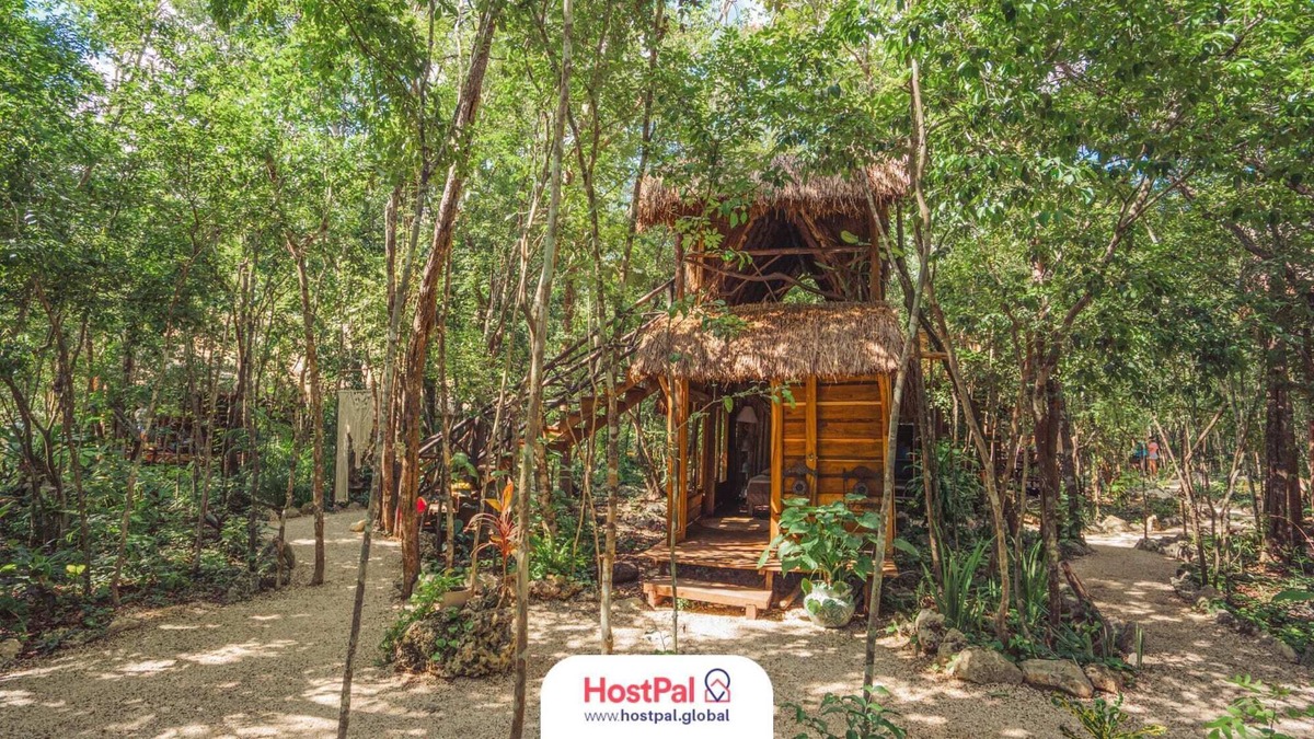 Leona Vicario Cabin | Madre Tierra Eco Habitat | Alberca natural y yoga