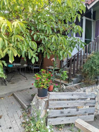 Aba House | Magdolna szállás