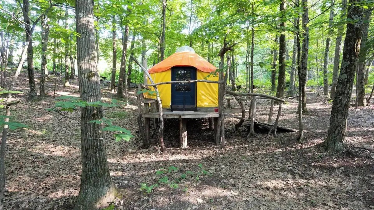 Coeymans Hollow Cabin | Magic Forest Farm Yurt