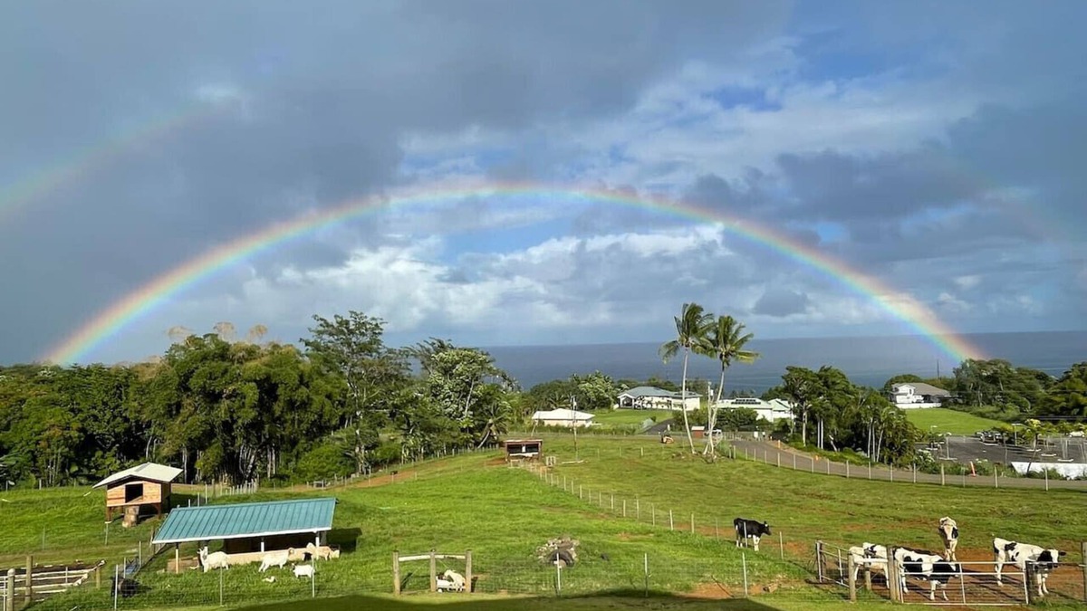 Paukaa Bed & Breakfast | Magic Skies Ocean View Turtle Room