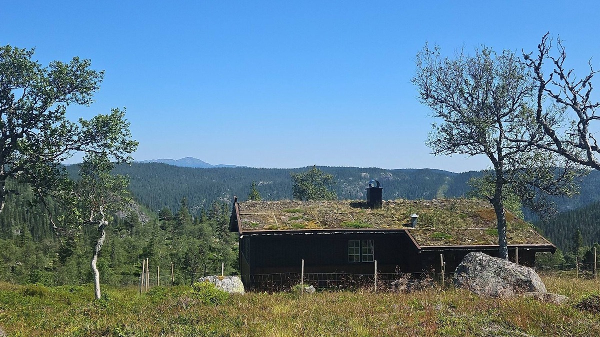 Vinje Cabin | Magic View | Unspoiled nature | Summer mountain pasture with goats