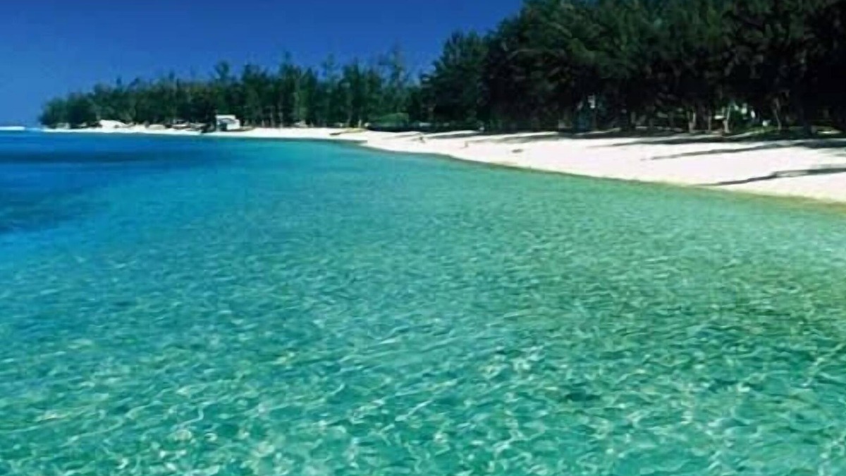 La Saline Les Bains Villa | Magical place! Direct access to the lagoon - LA SALINE LES BAINS -