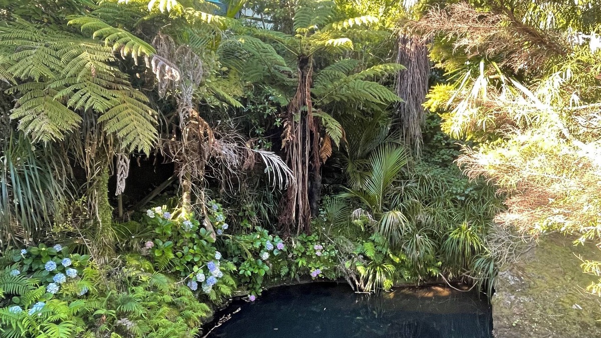 Piha House | Magical river retreat with private swimming hole.