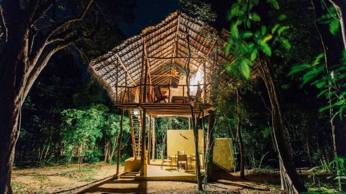 Sigiriya Cabin | Magical Tree House in Jungle next to Pidurangala