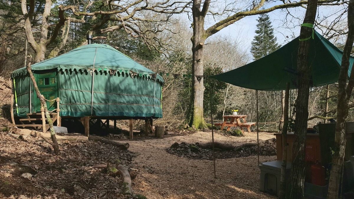 Caerdeon Cabin | Magical Woodland Yurt with stunning mountain and estuary views