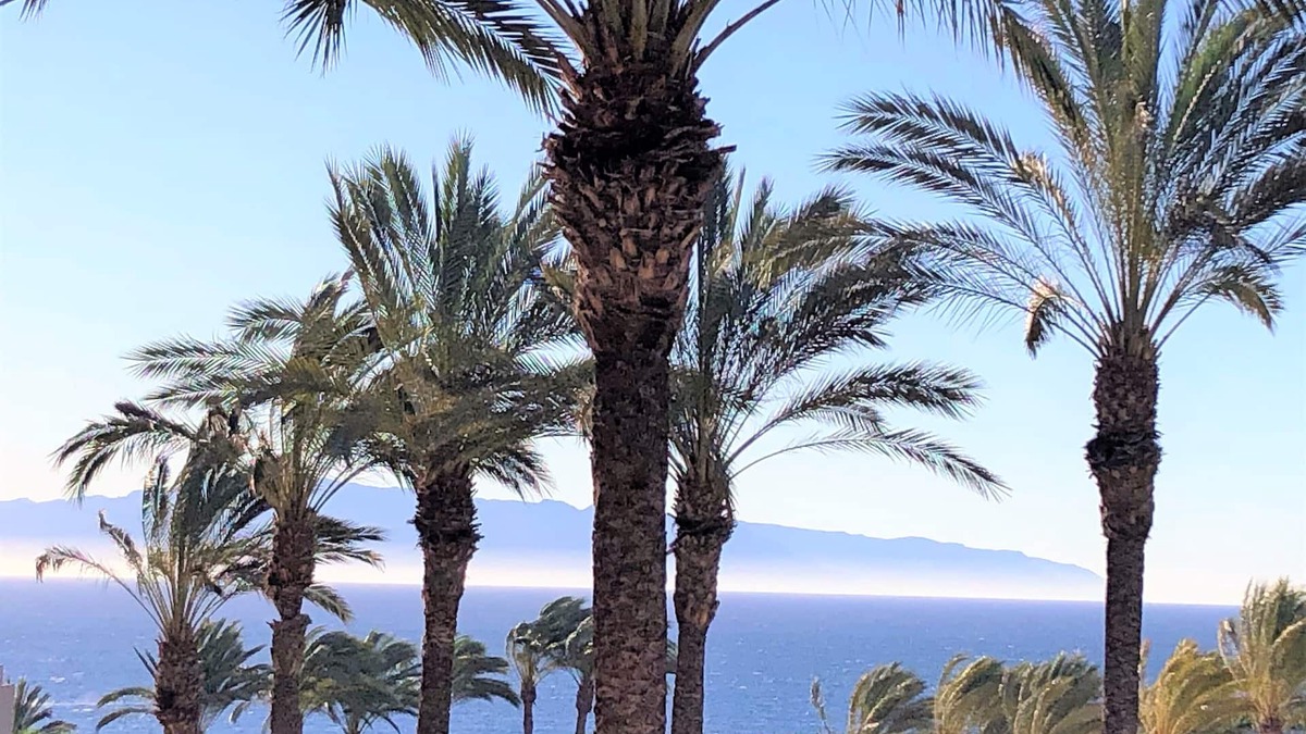 Playa Paraiso Apartment | Magnificent apartment - heated swimming pool - ideal location - terrace - Wifi