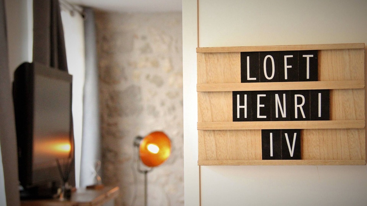 Nerac Apartment | Magnificent apartment - Le loft Henri IV- facing the Château Henri IV