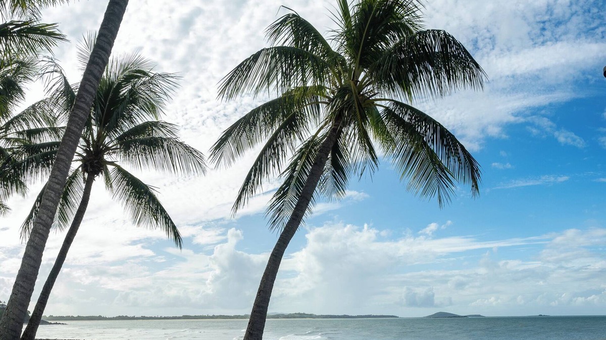 Mackay Regional Resort | Magnificent Garden The Resort @ Dolphin Heads