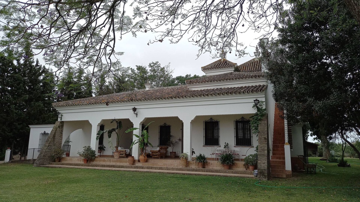Hinojos Ski Chalet | Magnificent home in Doñana 30 m from Seville