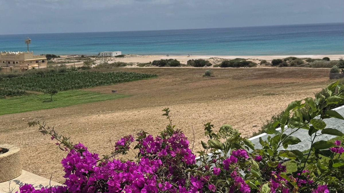 El Haouaria House | Magnificent spacious house with terrace and breathtaking views 5 min from the beach