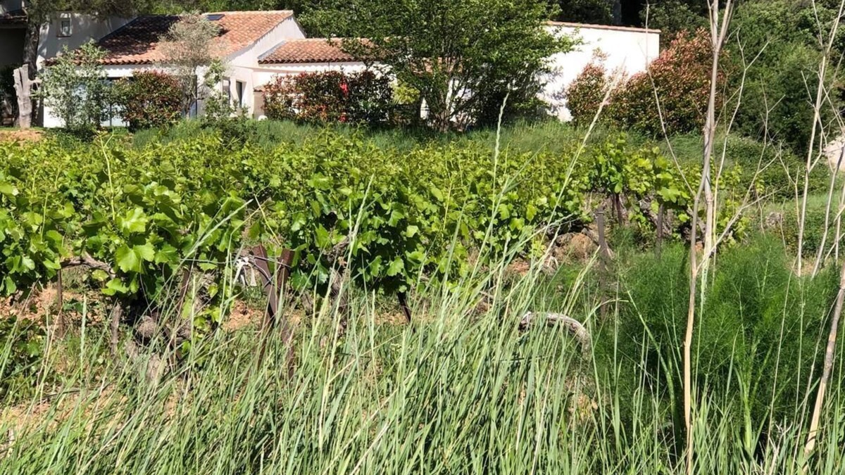 Rousset Villa | MAGNIFICENT VILLA AMID VINEYARDS AND PINE TREES NEAR AIX EN PROVENCE