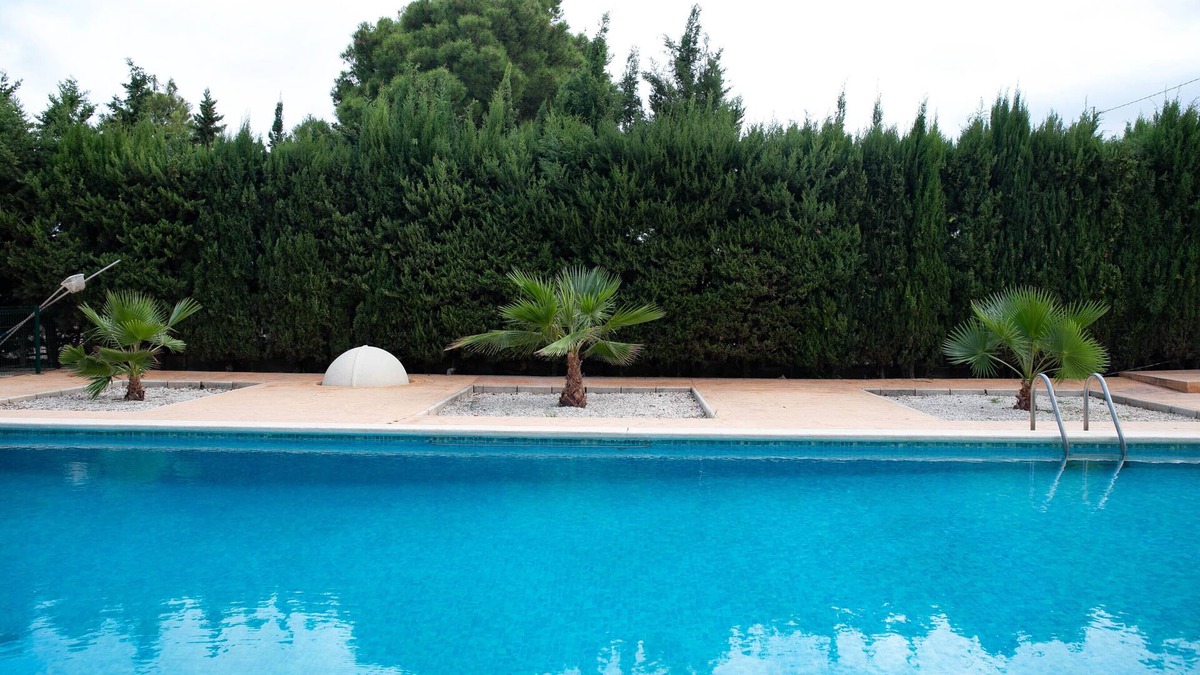 Novelda Villa | Magnificent villa in Novelda Alicante - VT-461834-A
