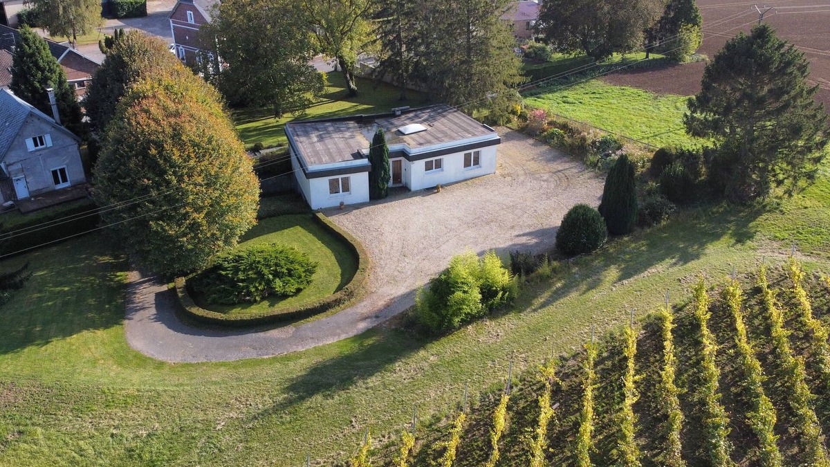 Dallon House | Magnifique Maison au Pied des Vignes