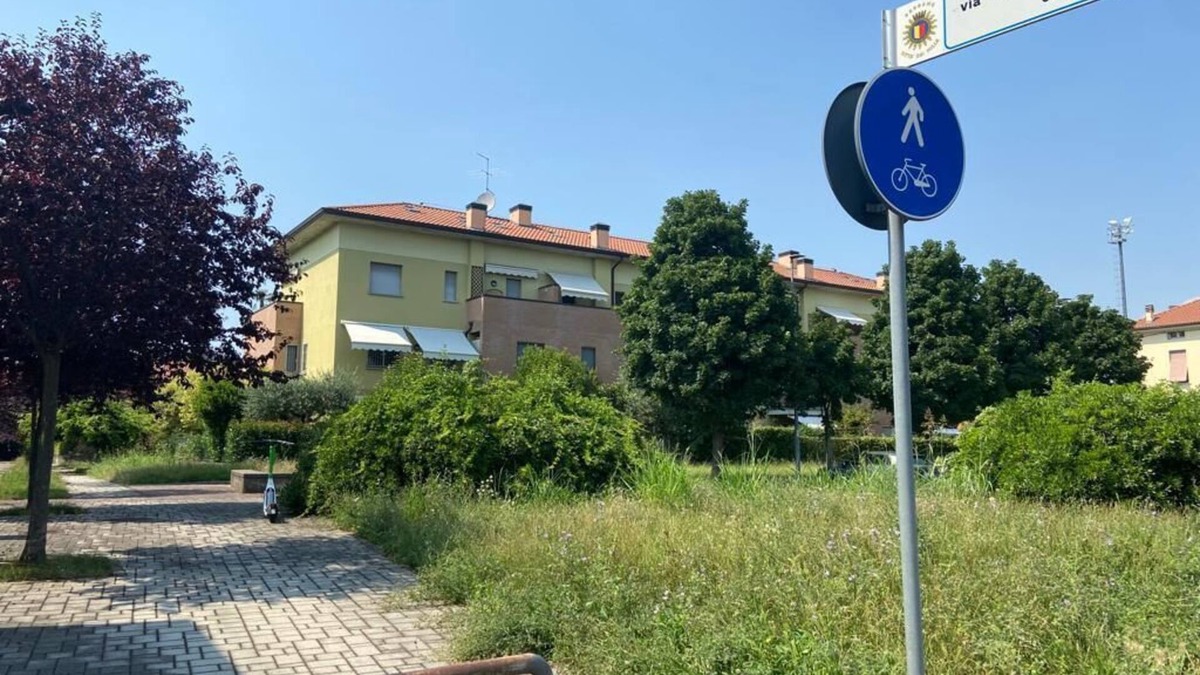 Bergamo Apartment | Magnolia Apartment - Real Estate and Rental Solutions