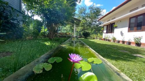 Gomagoda House | Mahaweli Shades