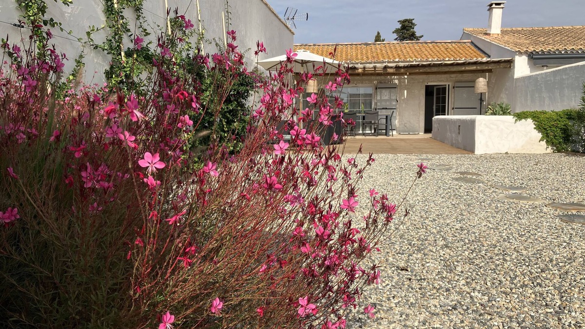 Saintes-Maries-de-la-Mer House | Maison en Camargue à 5 mn des Saintes Maries de la Mer Avec Bassin D'agrément