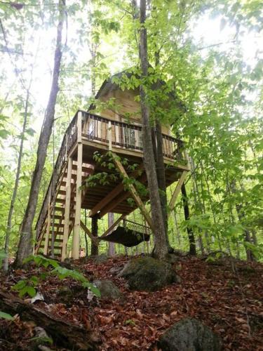 Stoneham House | Maine Woods Treehouse-The Birdie