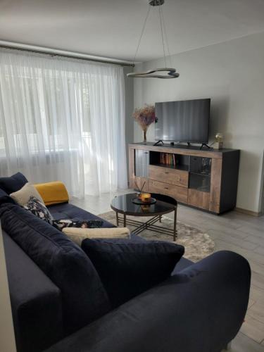 Radviliskis Apartment | Maironio apartamentai