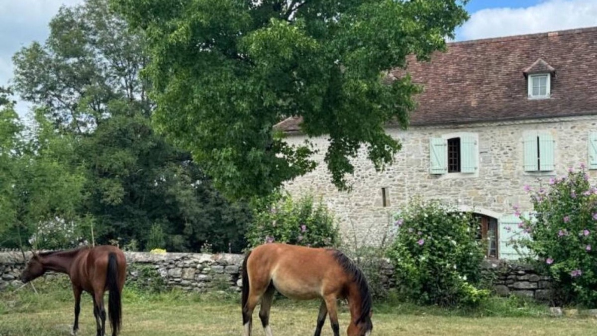 Saint-Gladie-Arrive-Munein House | Maison Hourquebie-Charming house entirely renovated 5 min from the river