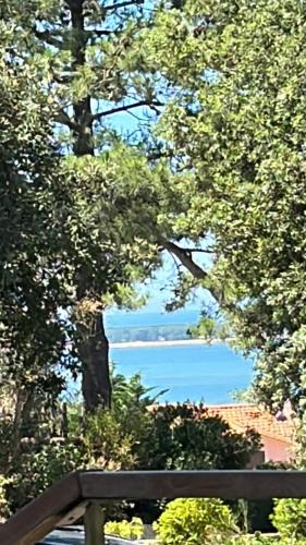 Pyla-sur-Mer House | Maison Albatros