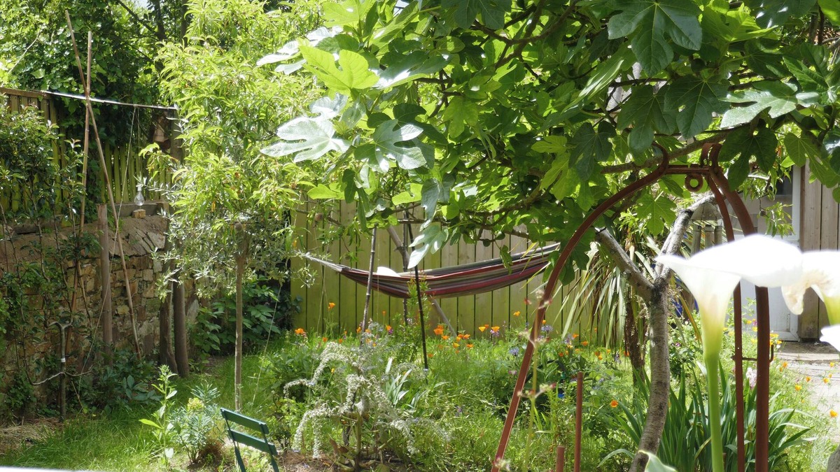 La Montagne House | Maison Ancienne Avec Jardin, un Havre de Paix
