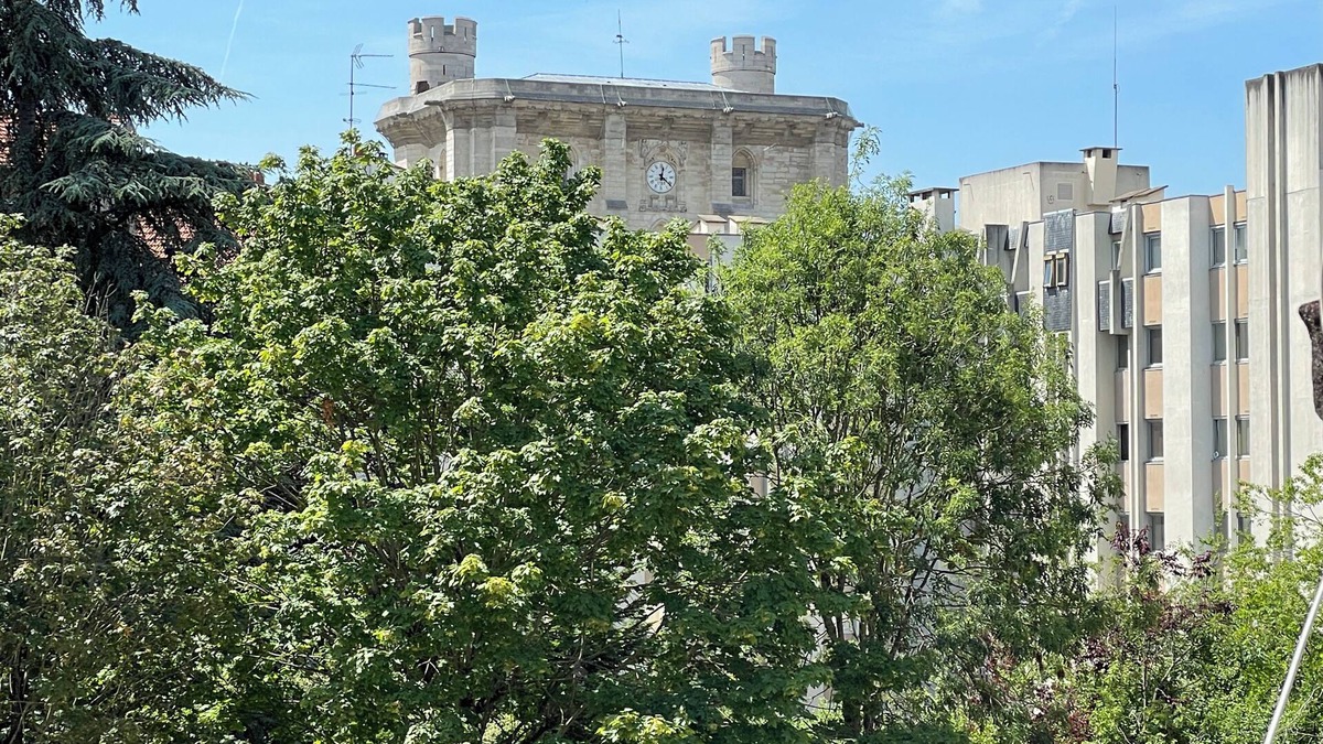Vignerons House | Maison au Calme et au Vert au Cœur du Centre Ville