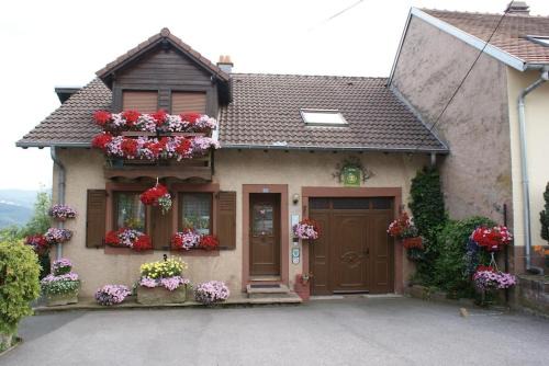 Haselbourg House | Maison charmante avec jardin à Haselbourg - Vue sur montagnes