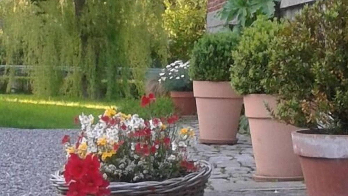 Eclaibes House | Maison D'eclaibes