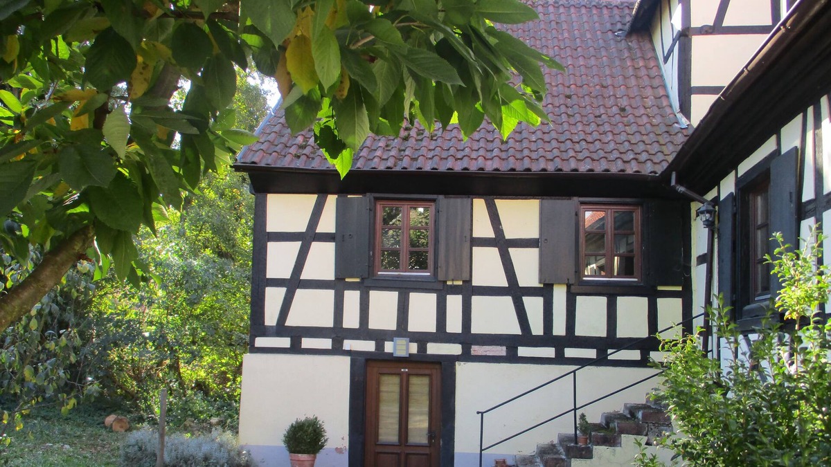 Bischwiller House | Maison d'hôte Alsace/Domaine du Moulin