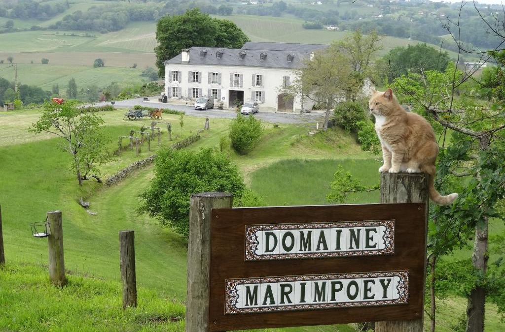 Monein Bed & Breakfast | Maison d'hôtes Marimpoey