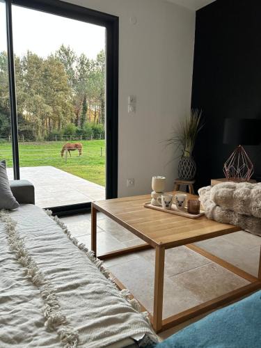 Lacquy House | Maison dans les bois