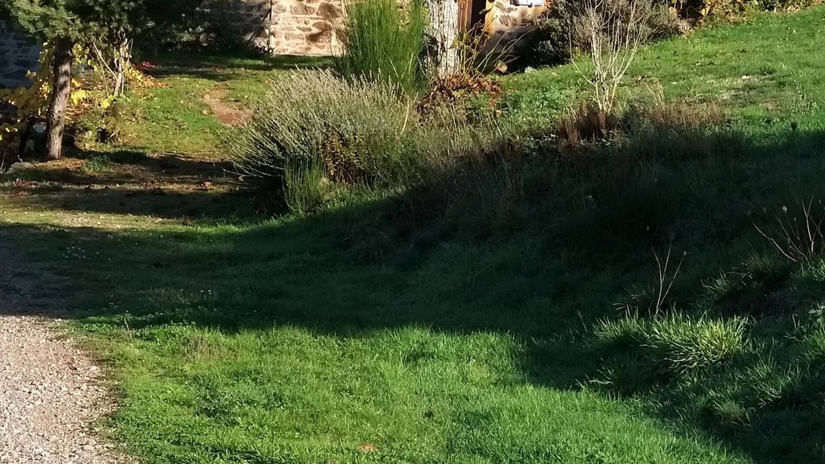 Thizy-les-Bourgs House | Maison de Campagne Familiale, 8 min du Lac des Sapins ! Animaux Bienvenus