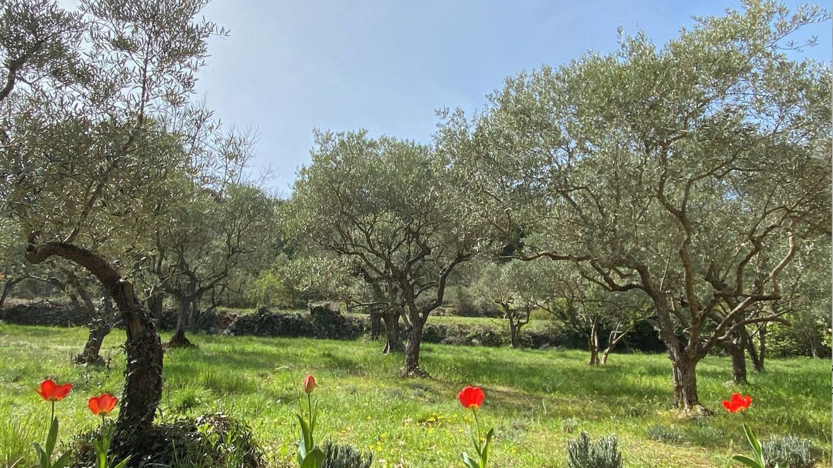 Montmeyan Cabin | Maison de Campagne à 5 min des Gorges et Lacs du Verdon