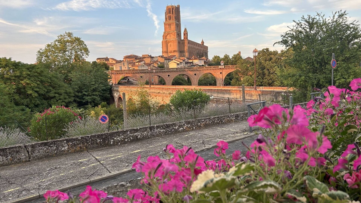 Albi House | Maison de Caractère Albi, Emplacement Idéal, Parking Gratuit