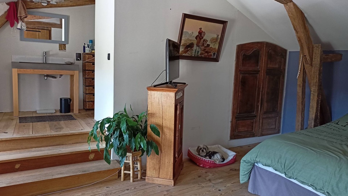 Cizos House | Maison de Charme au Cœur D'un Très Grand Parc Arboré