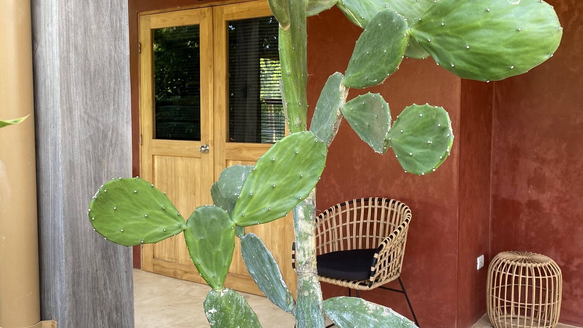 Playa Negra House | Maison de Plage Avec Piscine sur Spot de Surf