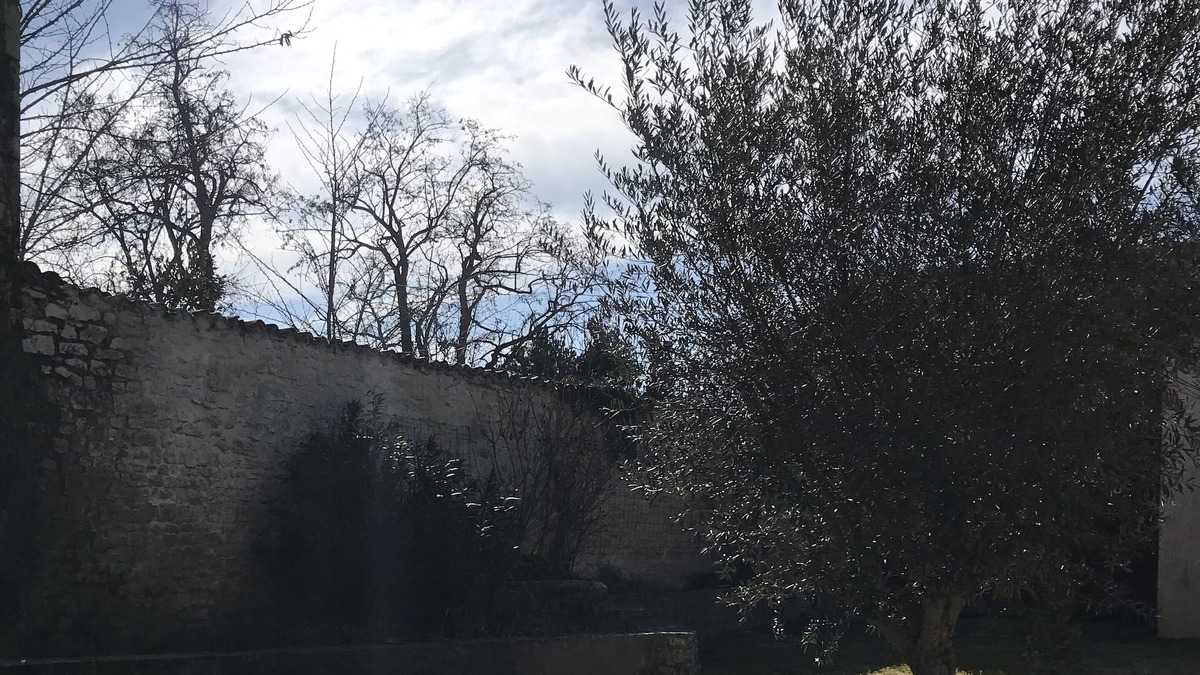 Nuaille d'Aunis House | Maison DE Village EN Pierre Grand Jardin 10 min de L'île de Ré