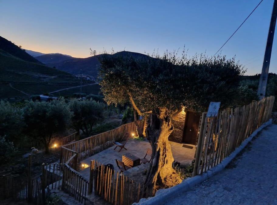 Armamar House | maison du olival