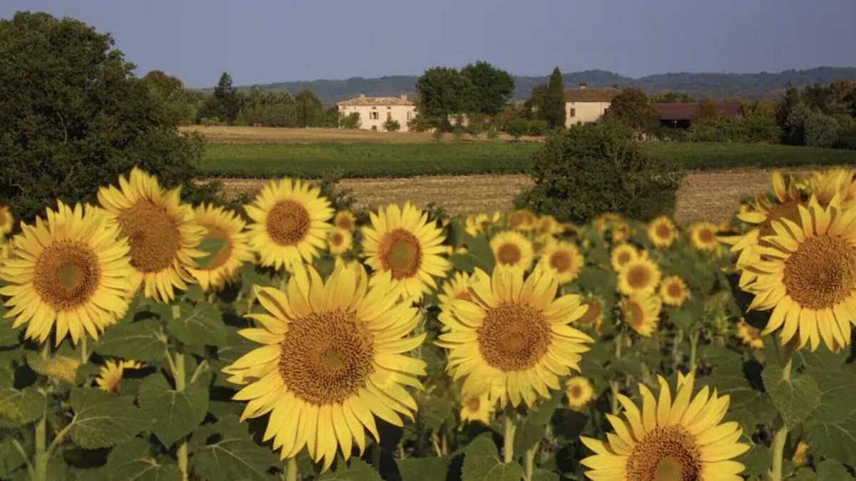 Alos House | Maison Elise, Southern France Country Home