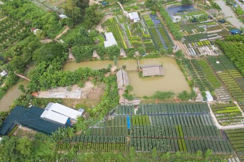 Sa Dec House | Maison en Bambou Phong-Le Vent