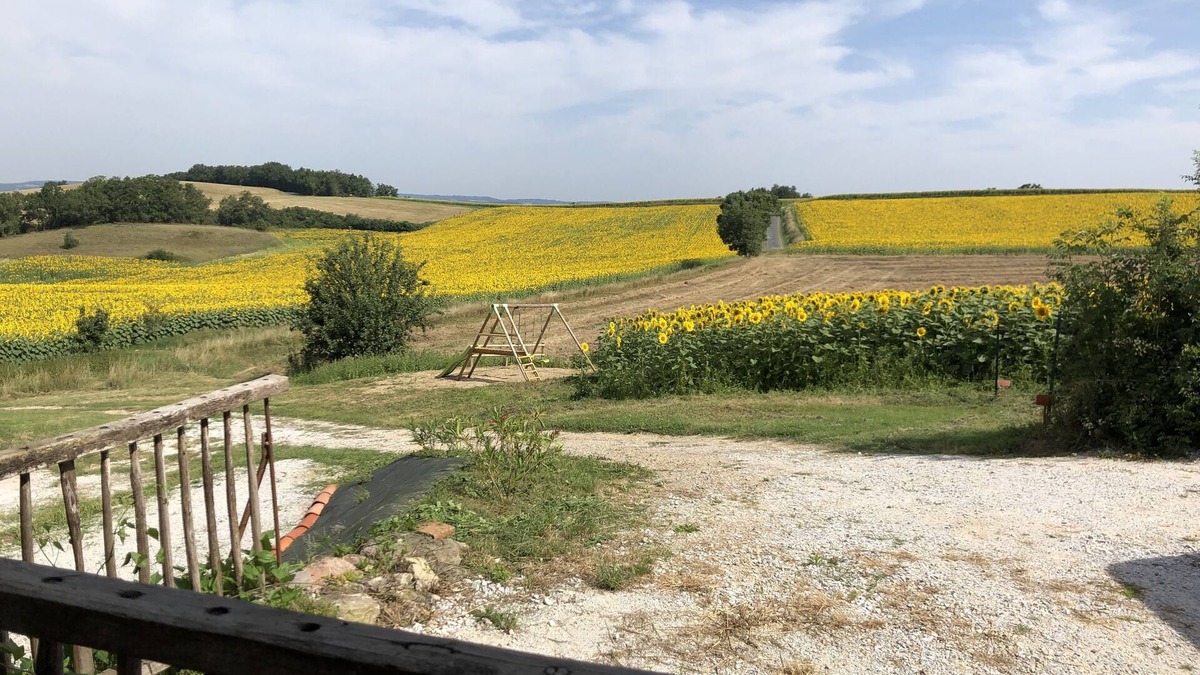 Puylaurens Cottage | Maison en Campagne Avec une Magnifique Terrasse Couverte en Bois