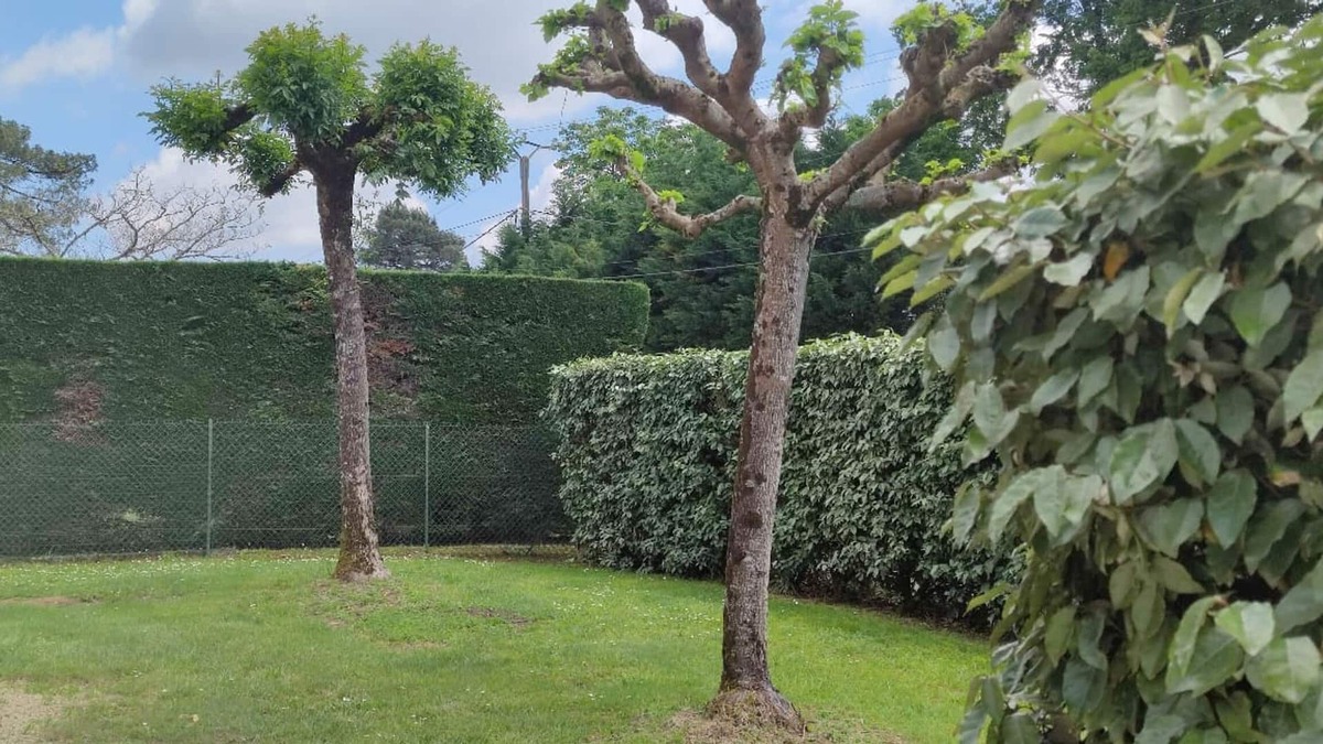 Parleboscq House | Maison en Campagne Landaise