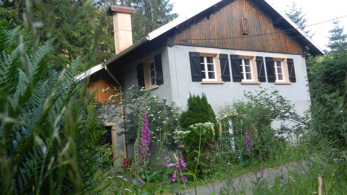 Gerbepal House | Maison en Pleine Nature 6km de Gérardmer