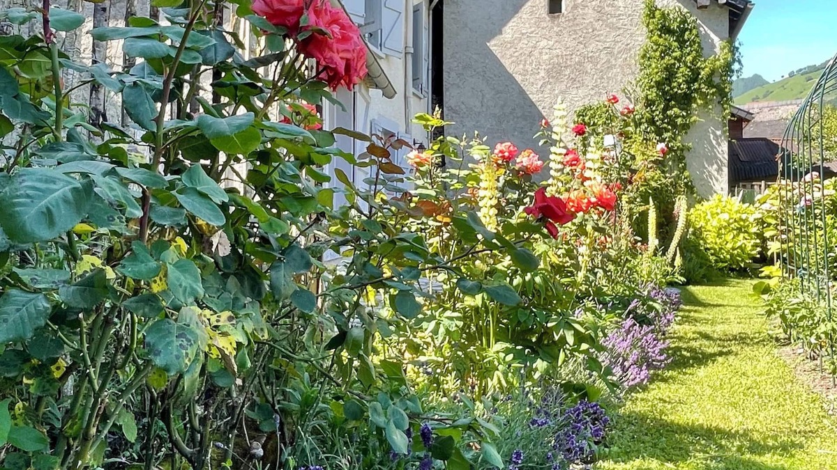 Accous House | Maison Hirondelle - a charming village home with a peaceful garden